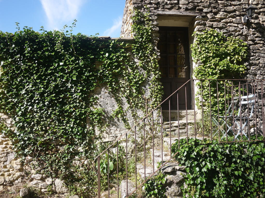Auberge Des Seguins Buoux Pokój zdjęcie